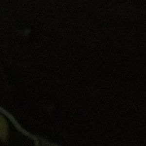 Meet your Posher, Jimmy